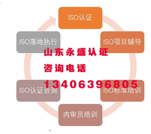 山东永盛东平0099认证机构技术服务成功案例